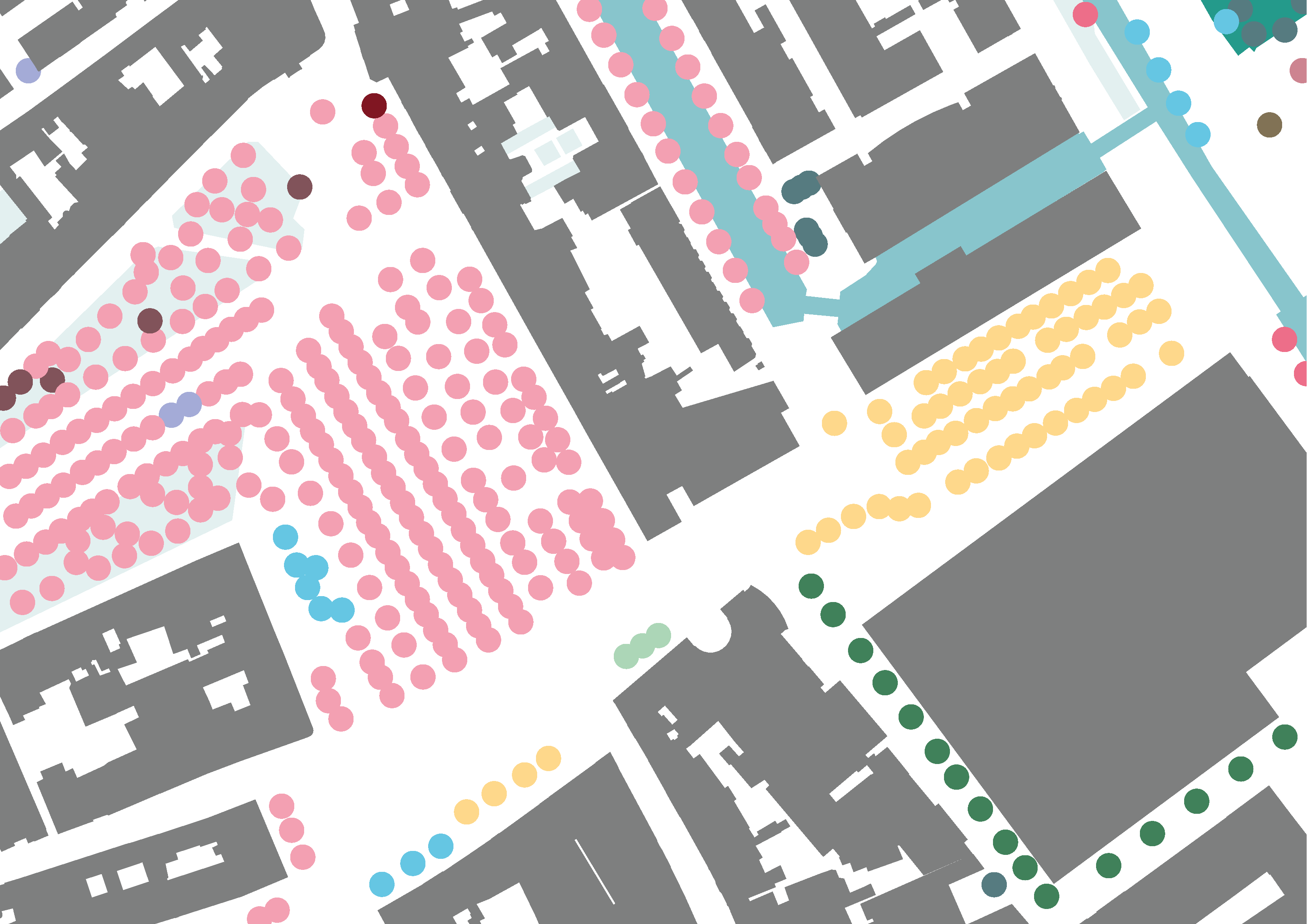 Tree species Surroundings